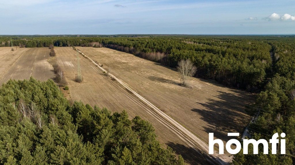Działka rekreacyjna 14,00&nbsp;ha, Rogożek - zdjęcie 4