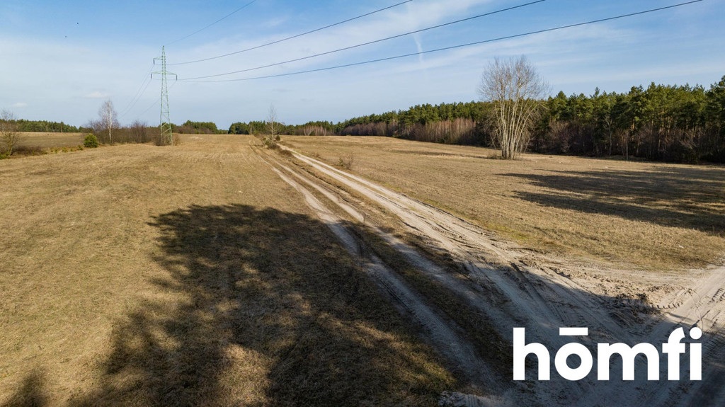 Działka rekreacyjna 14,00&nbsp;ha, Rogożek - zdjęcie 11