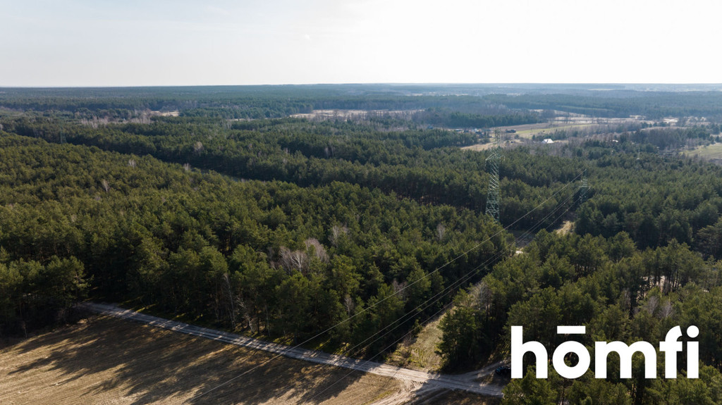 Działka rekreacyjna 14,00&nbsp;ha, Rogożek - zdjęcie 7