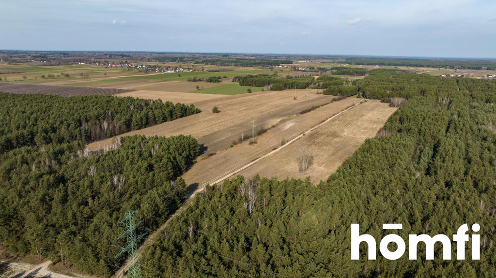 Działka rekreacyjna 14,00&nbsp;ha, Rogożek - zdjęcie 10