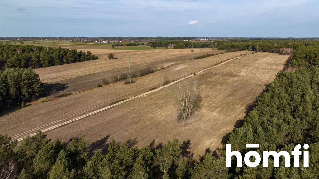 Działka rekreacyjna 14,00&nbsp;ha, Rogożek - zdjęcie 9