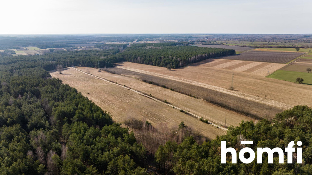 Działka rekreacyjna 14,00&nbsp;ha, Rogożek - zdjęcie 2