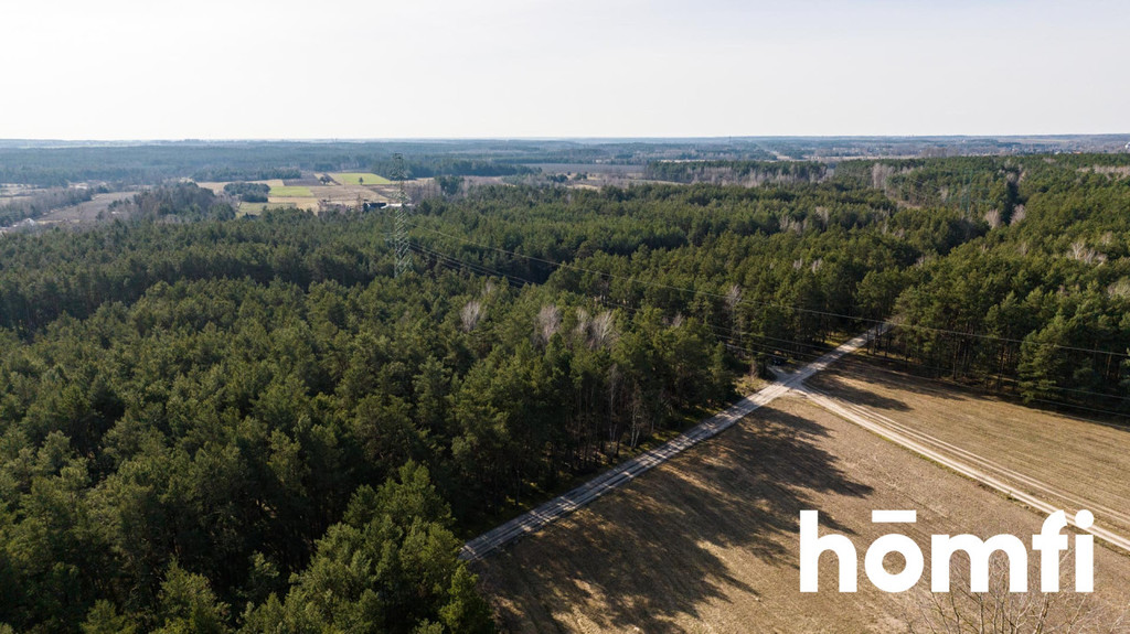 Działka rekreacyjna 14,00&nbsp;ha, Rogożek - zdjęcie 8