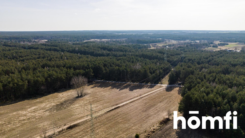 Działka rekreacyjna 14,00&nbsp;ha, Rogożek - zdjęcie 6
