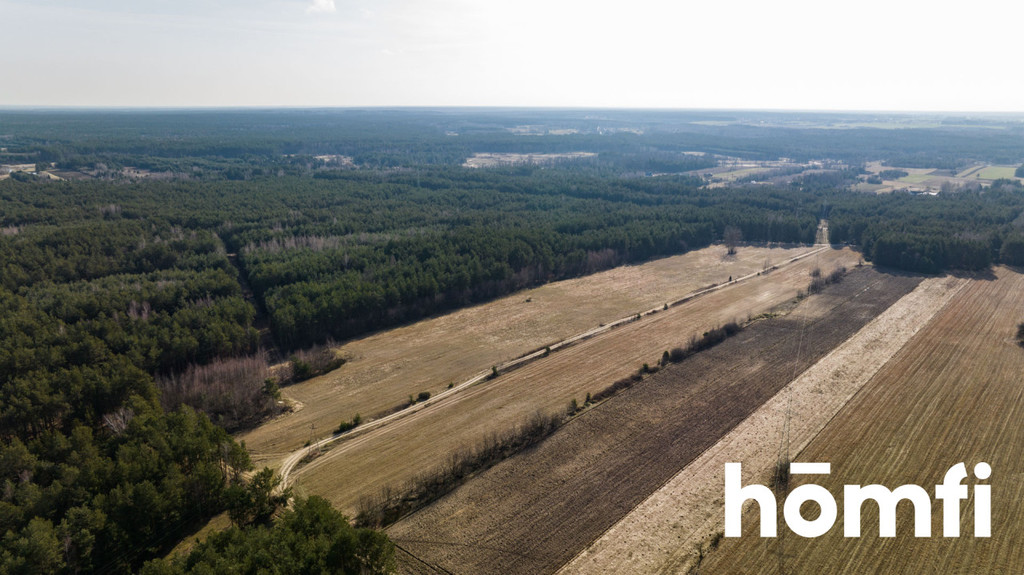 Działka rekreacyjna 14,00&nbsp;ha, Rogożek - zdjęcie 5