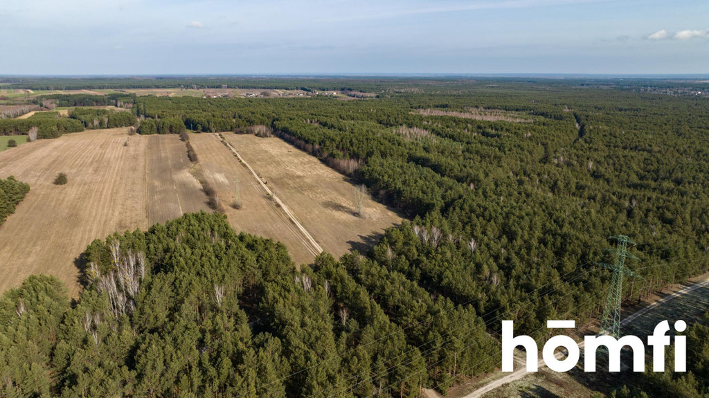 Działka rekreacyjna 14,00&nbsp;ha, Rogożek - zdjęcie 3