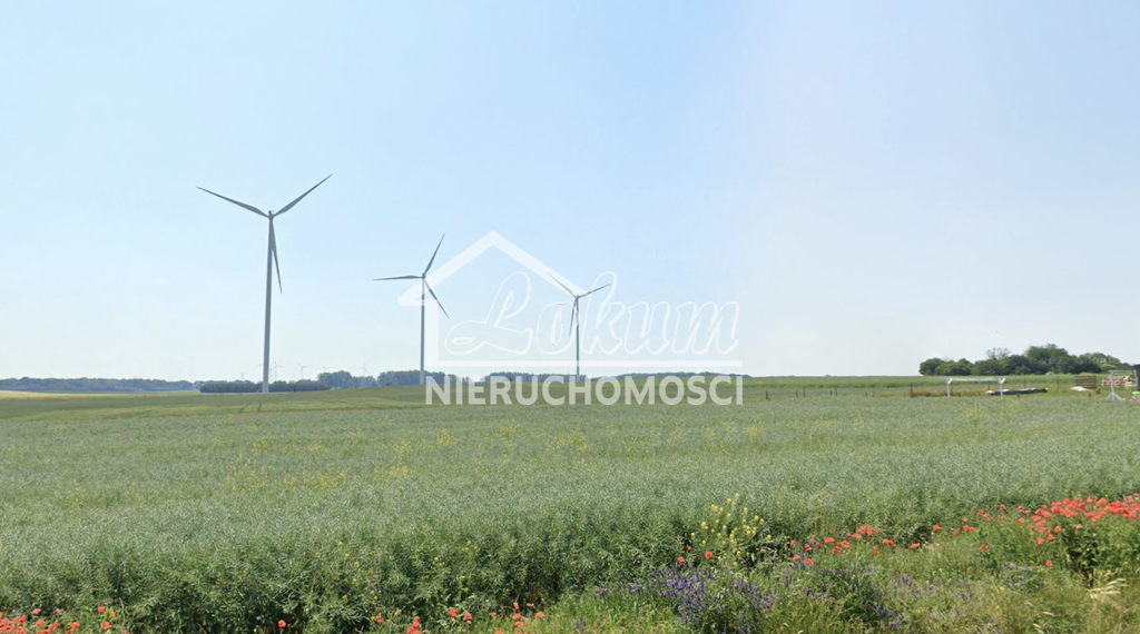 Działka budowlana 4600 m², Linie - zdjęcie 2
