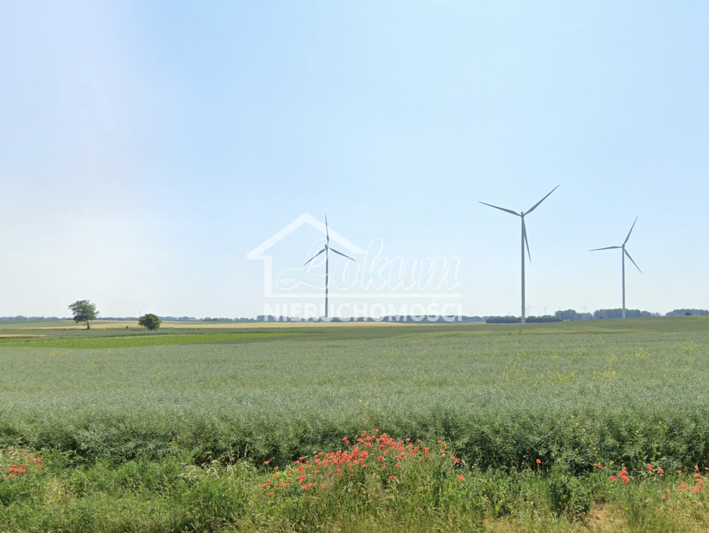 Działka budowlana 4600 m², Linie - zdjęcie 4