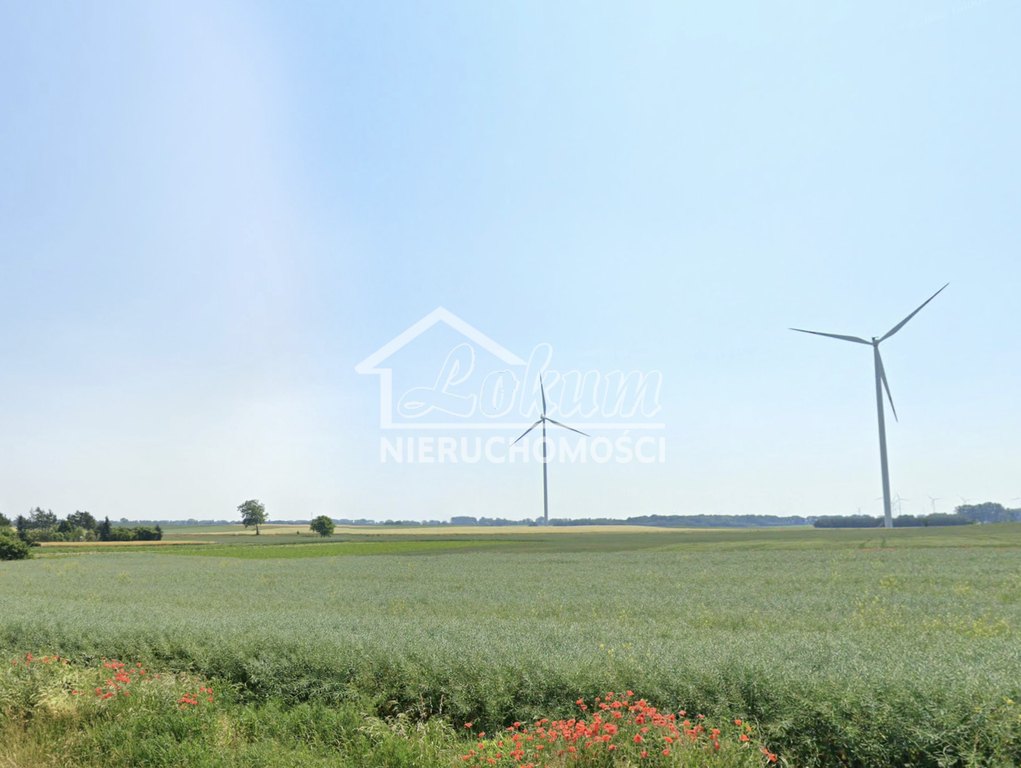 Działka budowlana 4600 m², Linie - zdjęcie 3