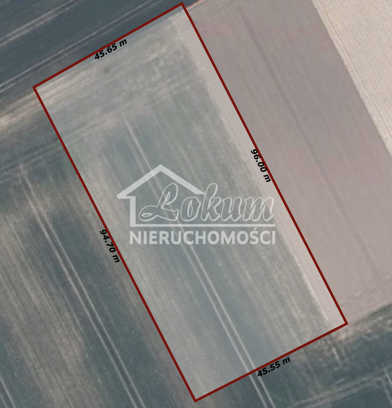 Działka budowlana 4600 m², Linie - zdjęcie 1