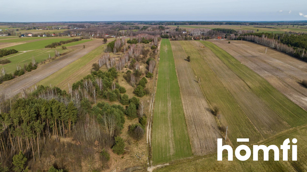 Działka rolna 1,50&nbsp;ha, Goryń - zdjęcie 8