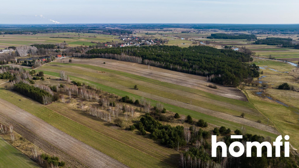 Działka rolna 1,50&nbsp;ha, Goryń - zdjęcie 4