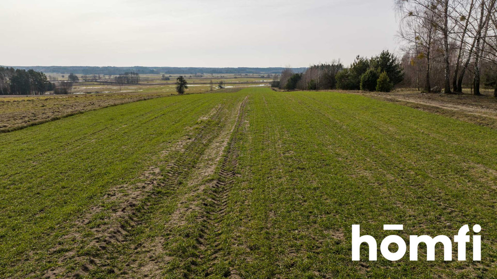 Działka rolna 1,50&nbsp;ha, Goryń - zdjęcie 10