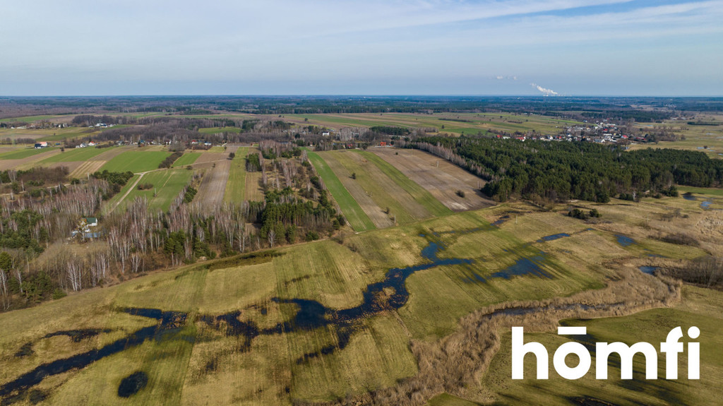 Działka rolna 1,50&nbsp;ha, Goryń - zdjęcie 5