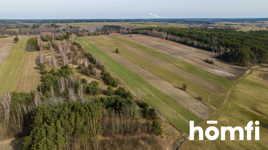 Działka rolna 1,50&nbsp;ha, Goryń - zdjęcie 7