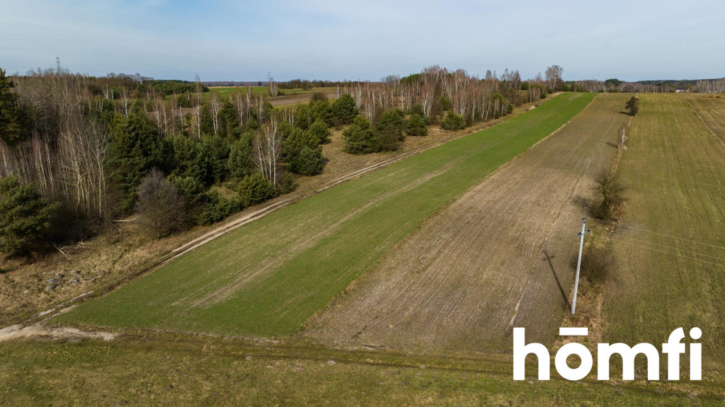 Działka rolna 1,50&nbsp;ha, Goryń - zdjęcie 6
