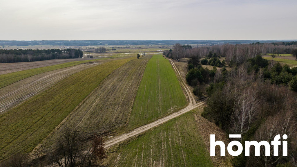 Działka rolna 1,50&nbsp;ha, Goryń - zdjęcie 9