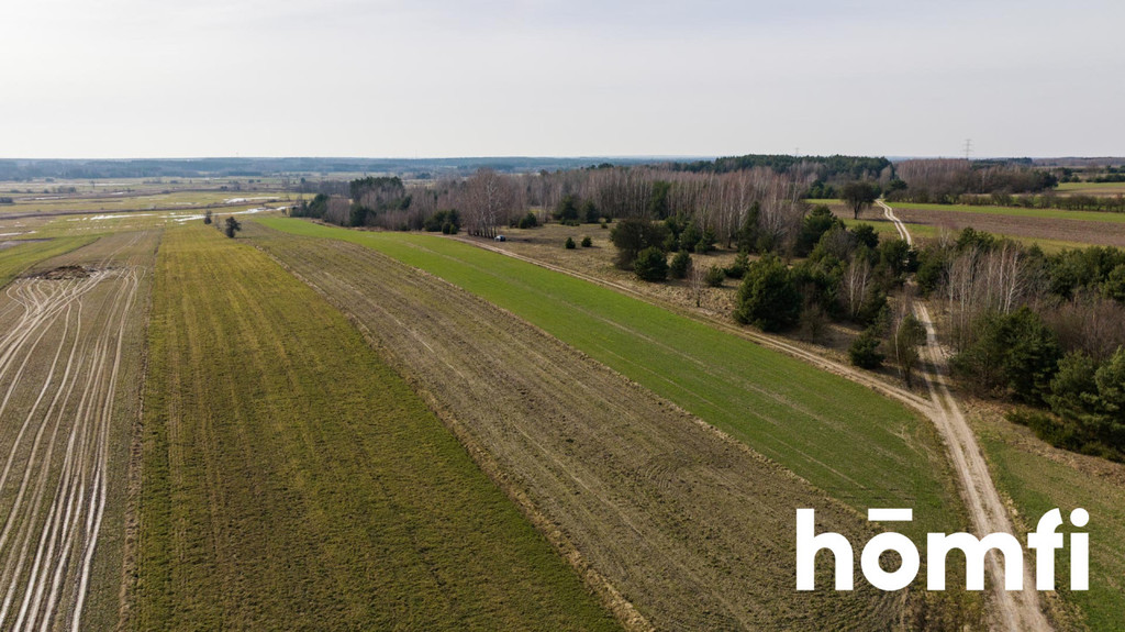 Działka rolna 1,50&nbsp;ha, Goryń - zdjęcie 2