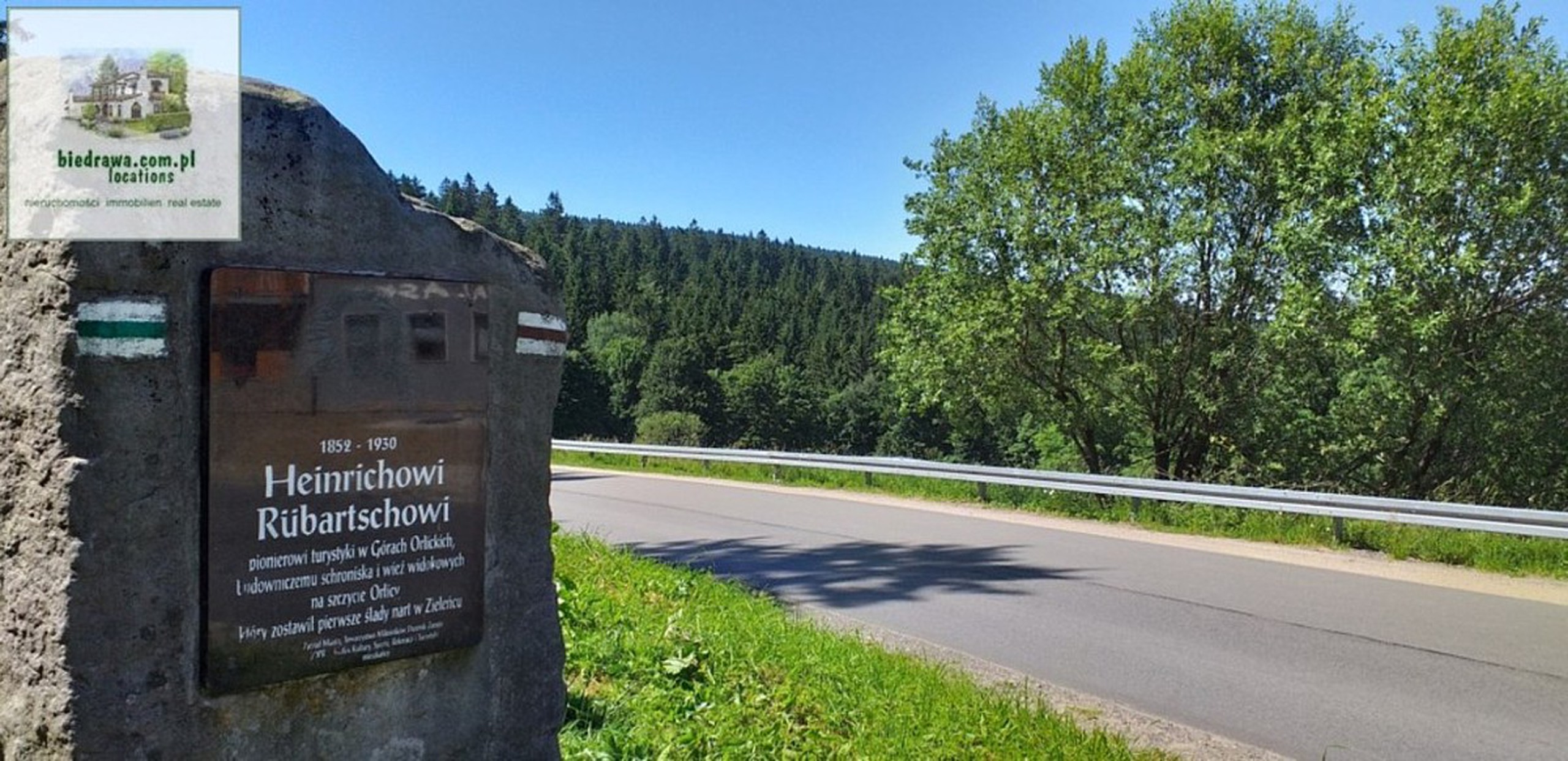 Zieleniec - działka 0,5 ha z warunkami zabudowy na 10 domków. - zdjęcie 4