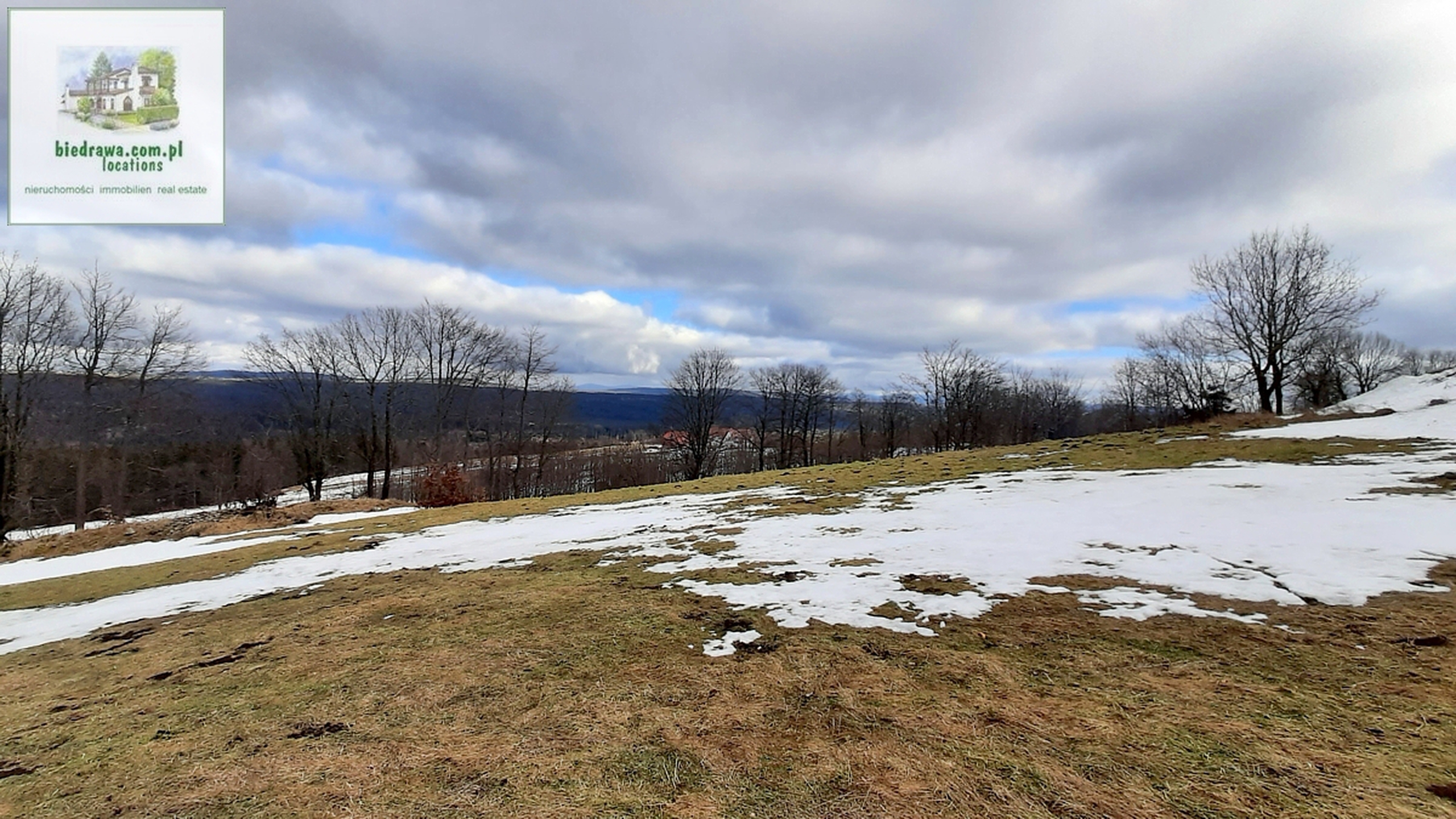 Zieleniec - działka 0,5 ha z warunkami zabudowy na 10 domków. - zdjęcie 9