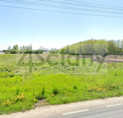 Działka inwestycyjna 5000&nbsp;m², Duchnice - zdjęcie 1
