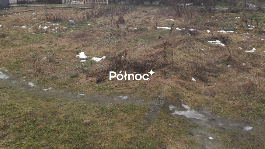 Działka inwestycyjna 180 m², Czarna Białostocka - zdjęcie 2