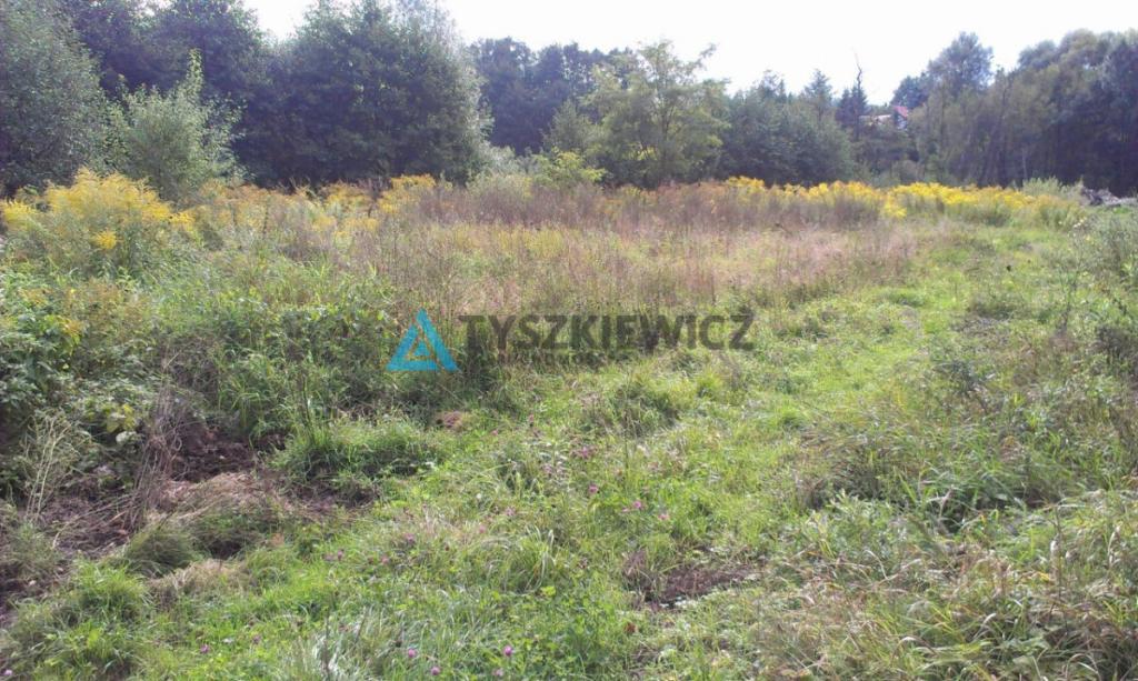 Duża działka z dostępem do wody - zdjęcie 6