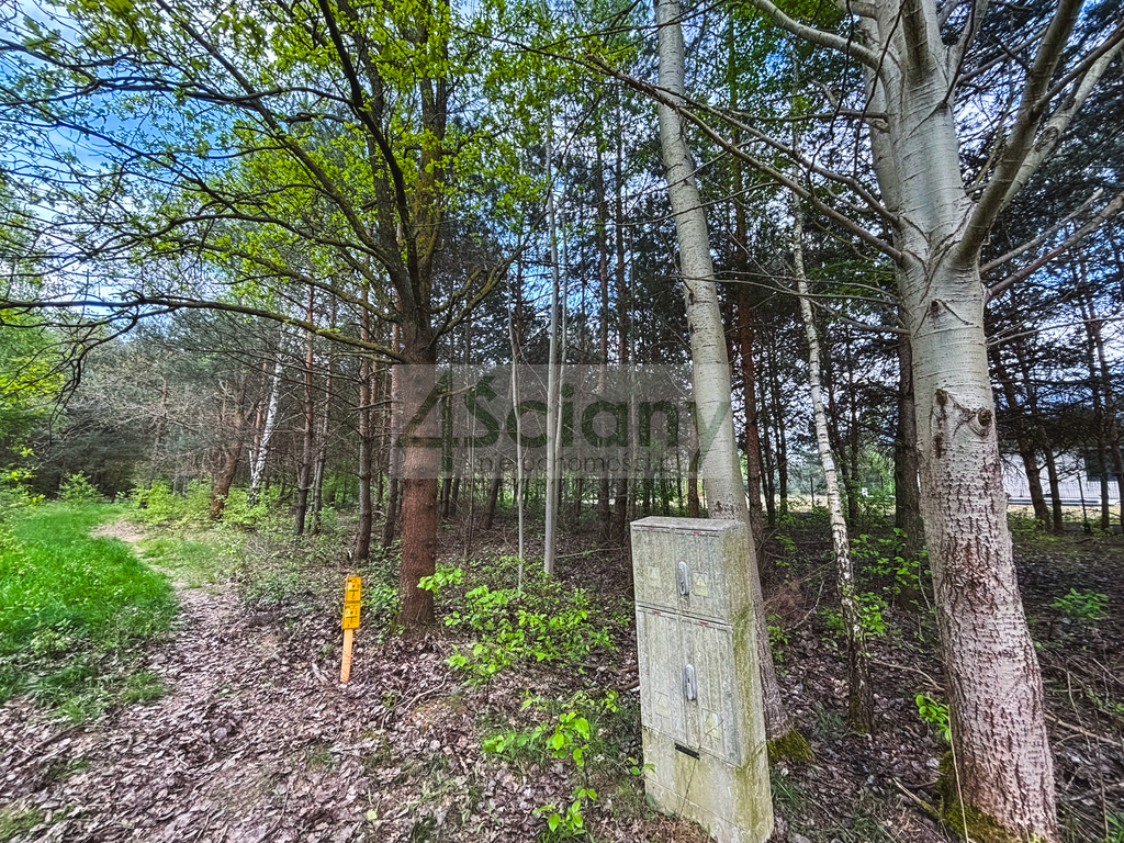 Działka budowlana 1243 m², Zalesie - zdjęcie 1