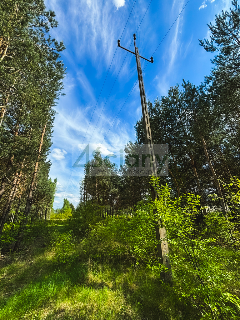 Działka budowlana 1243 m², Zalesie - zdjęcie 4