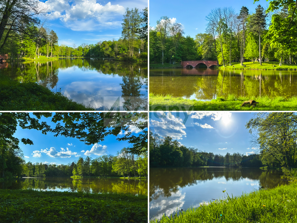 Działka budowlana 1243 m², Zalesie - zdjęcie 5