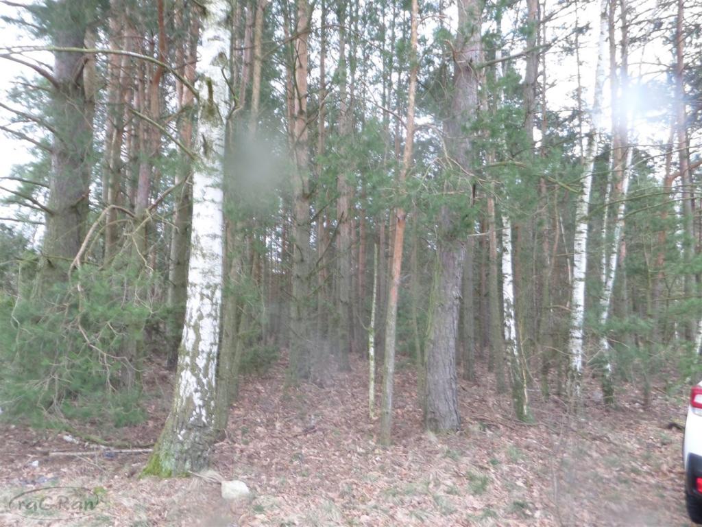 Ładnie położona działka budowlana - zdjęcie 5