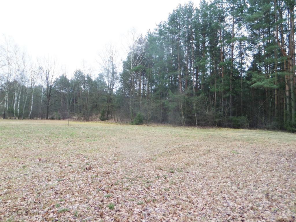 Ładnie położona działka budowlana - zdjęcie 3