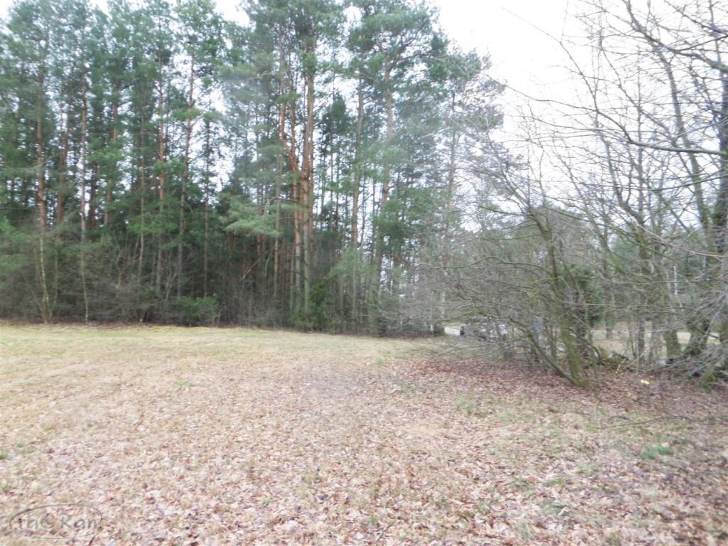 Ładnie położona działka budowlana - zdjęcie 4