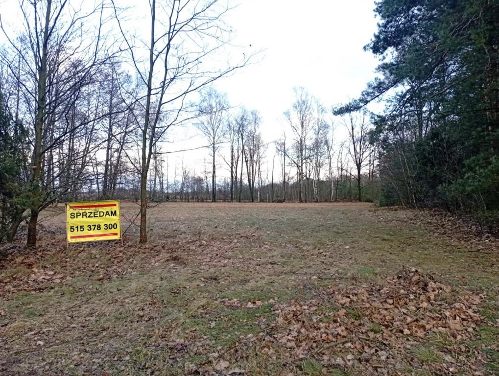 Ładnie położona działka budowlana - zdjęcie 7