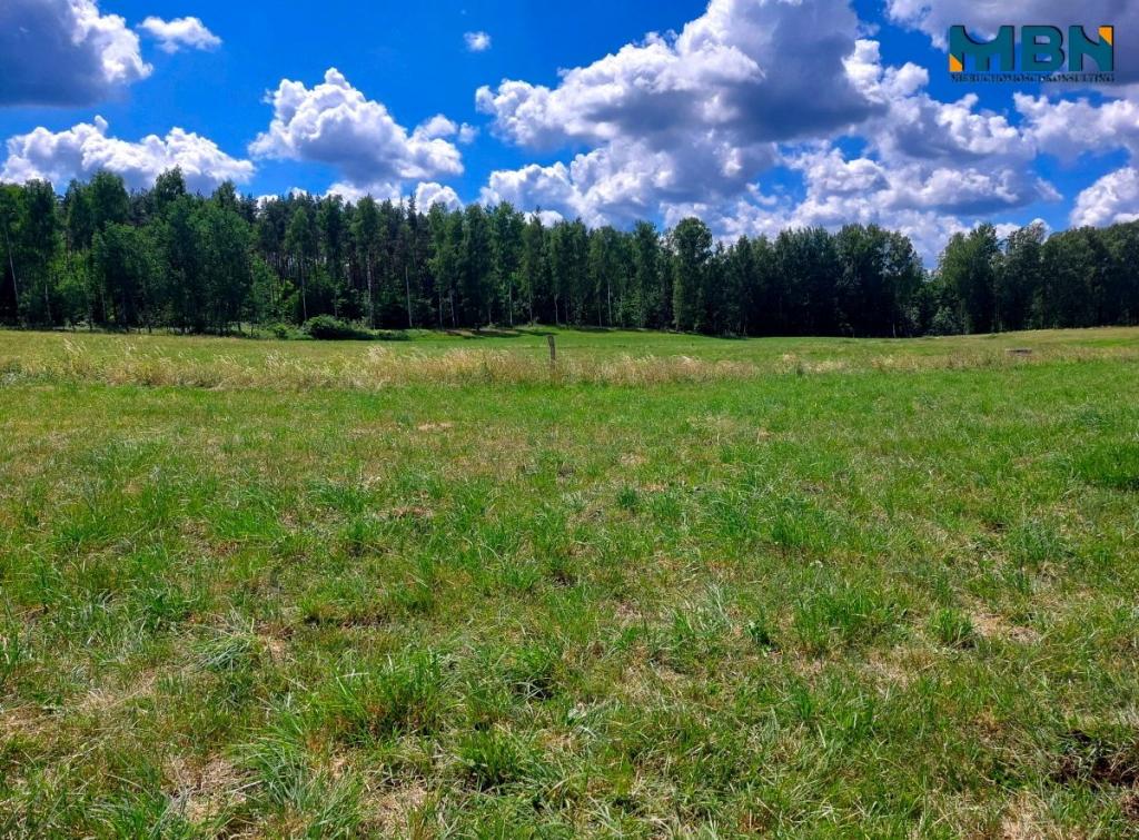Działka budowlana 1000&nbsp;m², Kamionki - zdjęcie 6