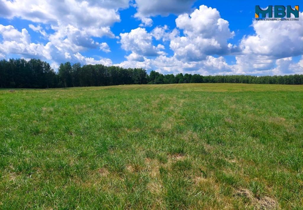 Działka budowlana 1000&nbsp;m², Kamionki - zdjęcie 19