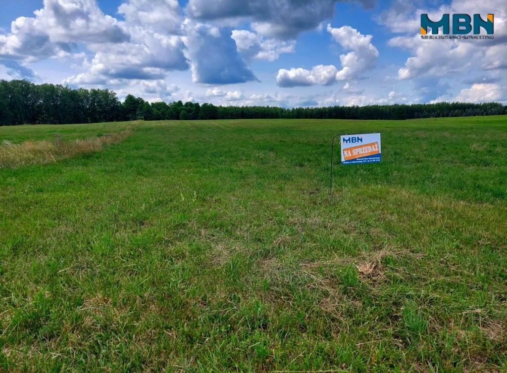 Działka budowlana 1000&nbsp;m², Kamionki - zdjęcie 16