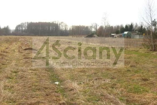 Działka rolna 1,42&nbsp;ha, Skuły - zdjęcie 1