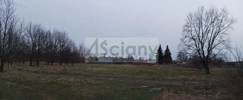 Działka budowlana 5300&nbsp;m², Grodzisk Mazowiecki - zdjęcie 3