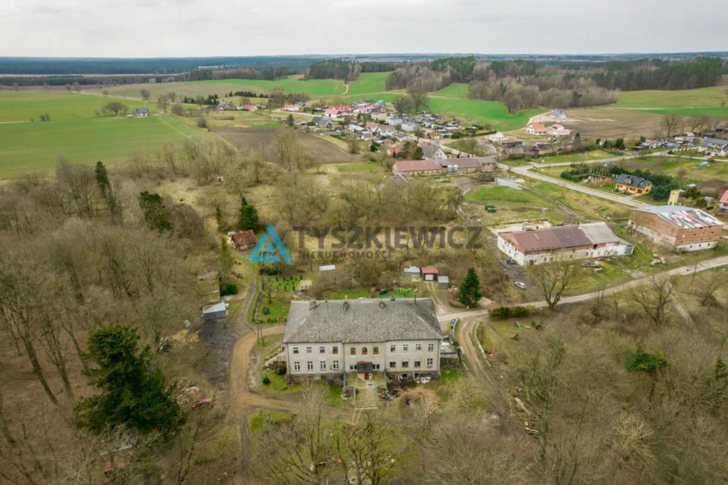 Mieszkanie w pałacu w Jerzkowicach - zdjęcie 7