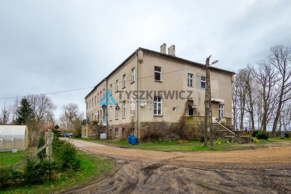 Mieszkanie w pałacu w Jerzkowicach - zdjęcie 21