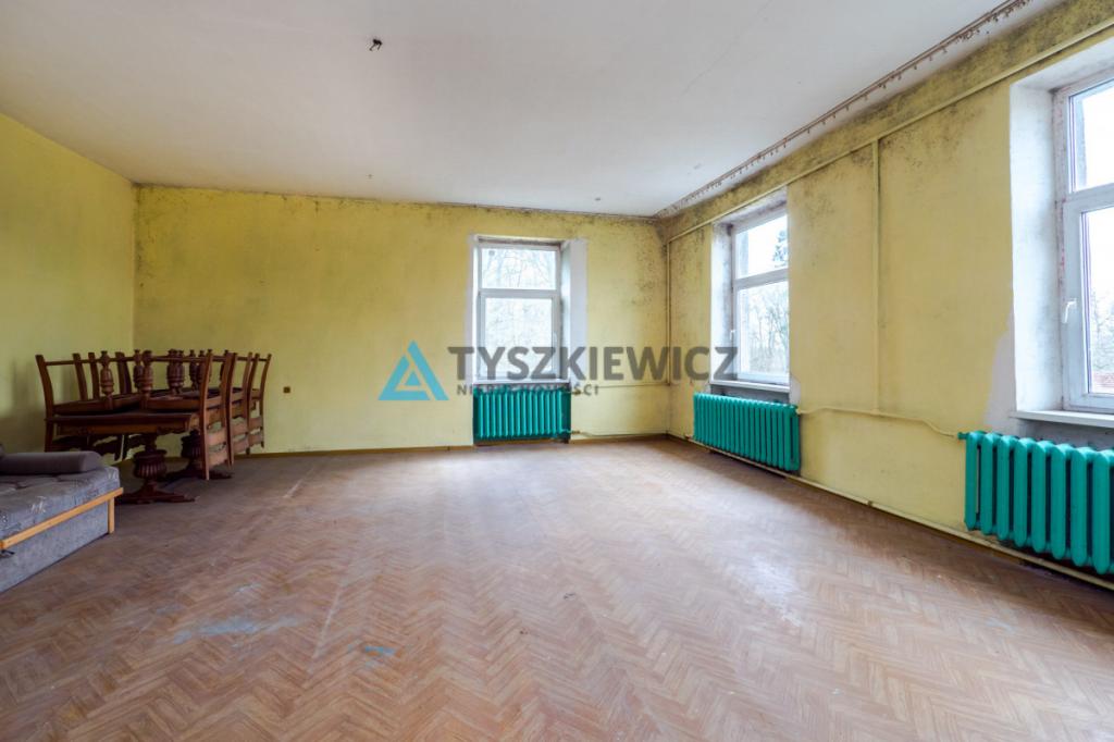 Mieszkanie w pałacu w Jerzkowicach - zdjęcie 19
