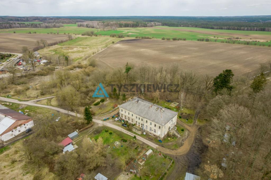 Mieszkanie w pałacu w Jerzkowicach - zdjęcie 8