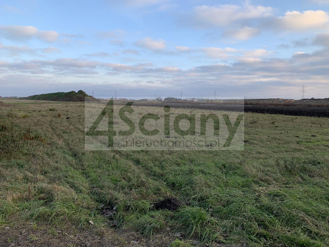 Działka inwestycyjna 9900&nbsp;m², Nowa Wola - zdjęcie 1