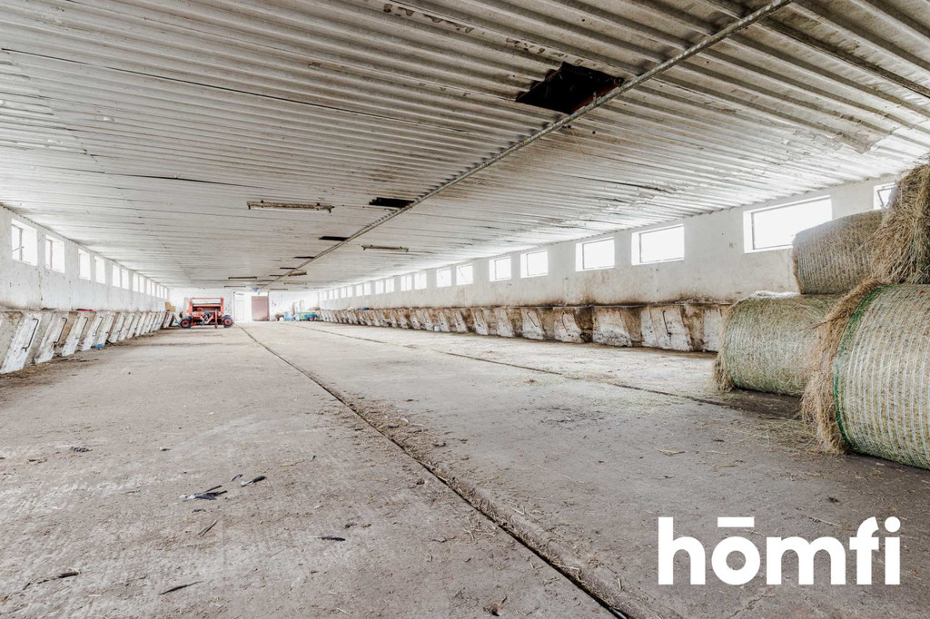 Magazyn na sprzedaż, 6530&nbsp;m², Wieliszew, Myśliwska - zdjęcie 3