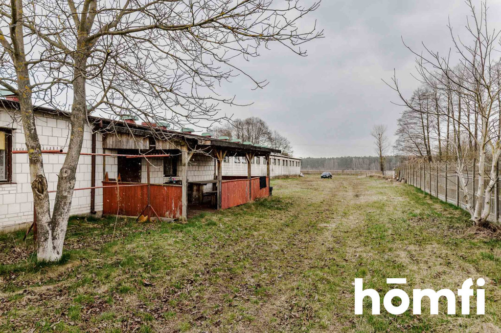 Magazyn na sprzedaż, 6530&nbsp;m², Wieliszew, Myśliwska - zdjęcie 10