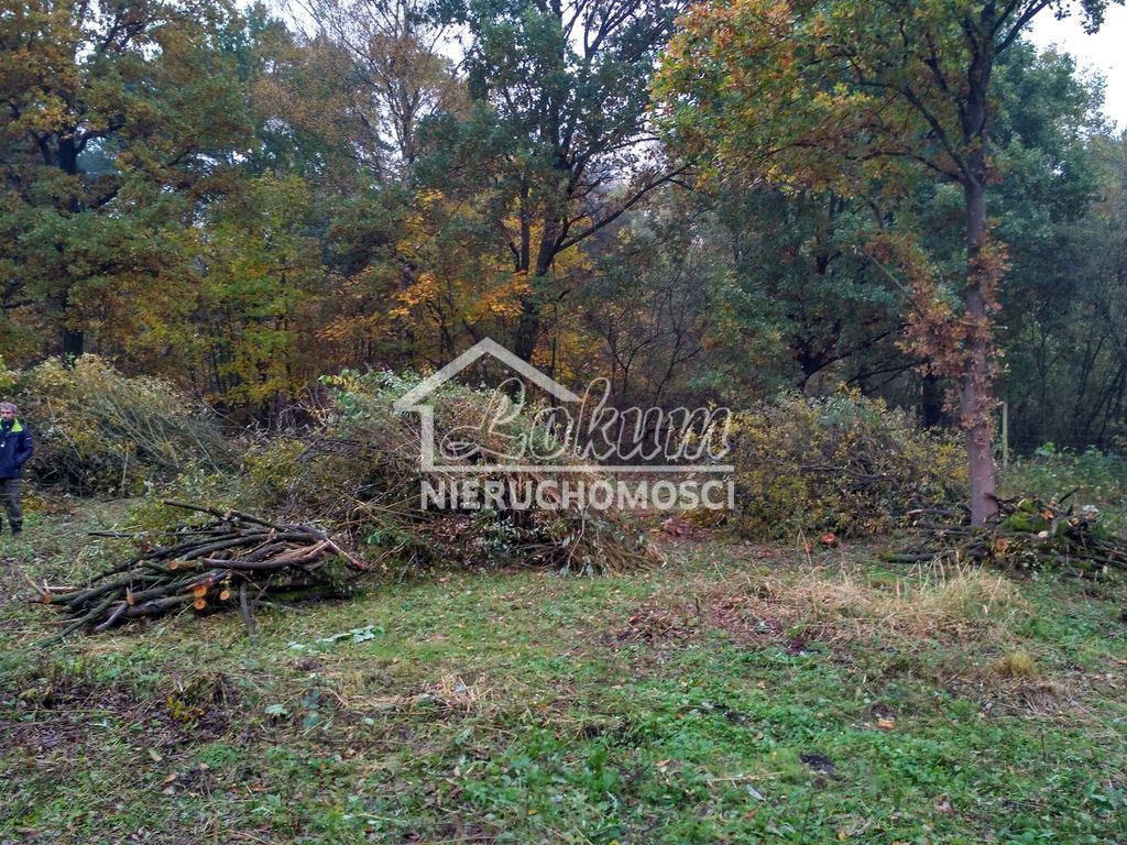 Działka budowlana 3030 m², Grębowo - zdjęcie 6