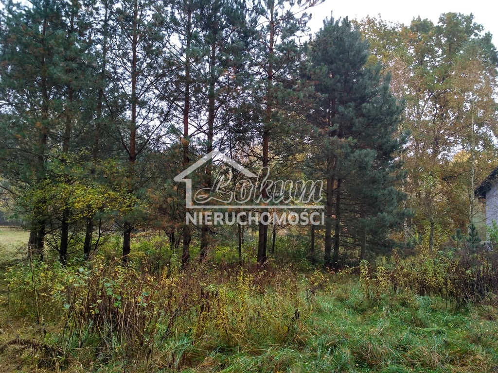 Działka budowlana 3030&nbsp;m², Grębowo - zdjęcie 3