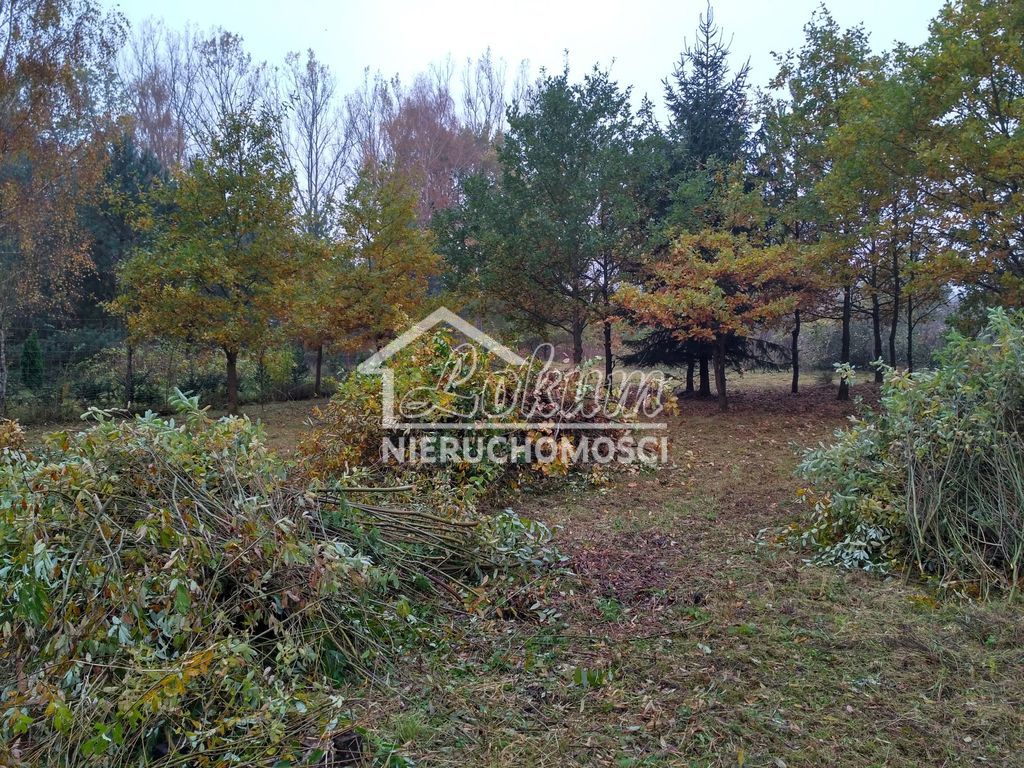 Działka budowlana 3030&nbsp;m², Grębowo - zdjęcie 5