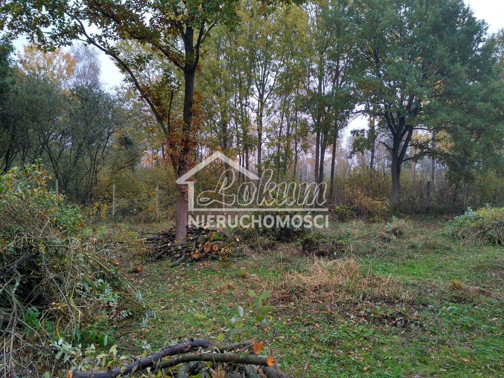 Działka budowlana 3030&nbsp;m², Grębowo - zdjęcie 2